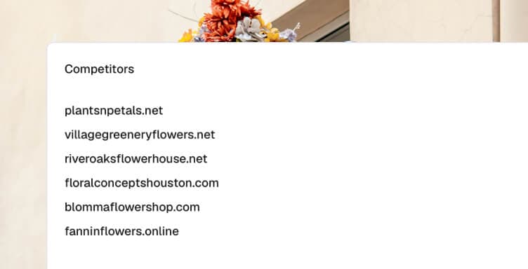 Competitor websites list